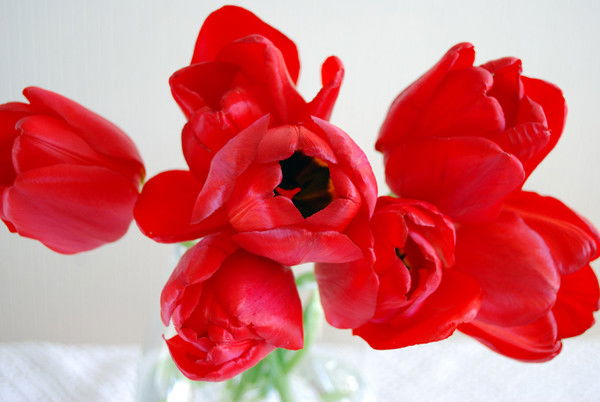 Татьяна Богдан