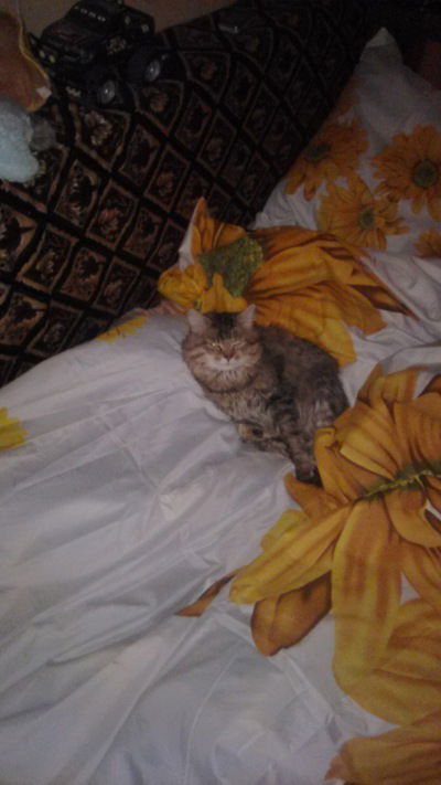 Владимир Анатольевич