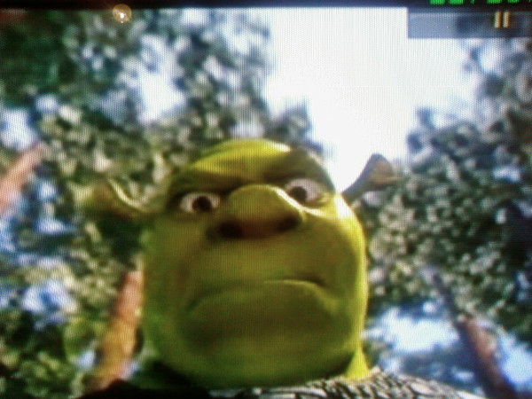 Александр Хохлов