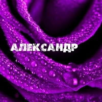 Александр А.