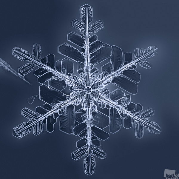 Неизвестно Неизвестно