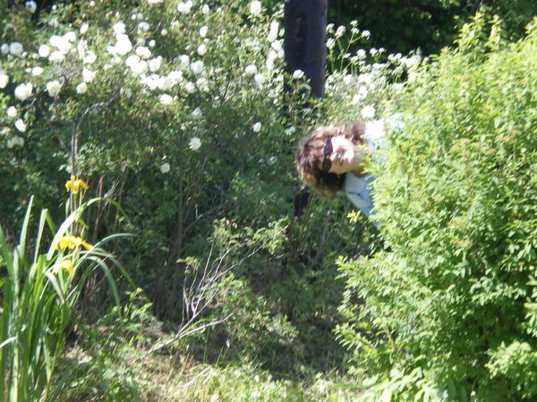 Минаева Ирина