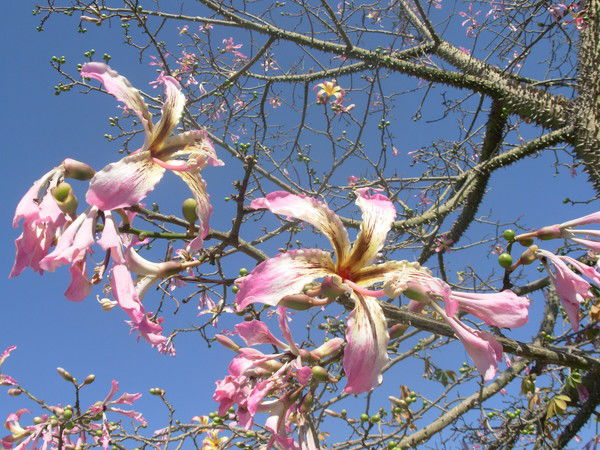 Солнышко Солнышко