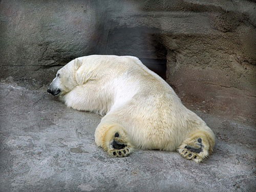 Александр Кузьмич