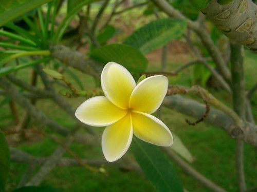 Obrasobanie Departament