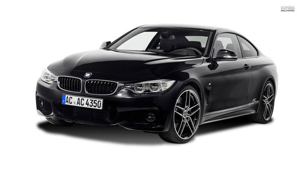 Александр Политыкин