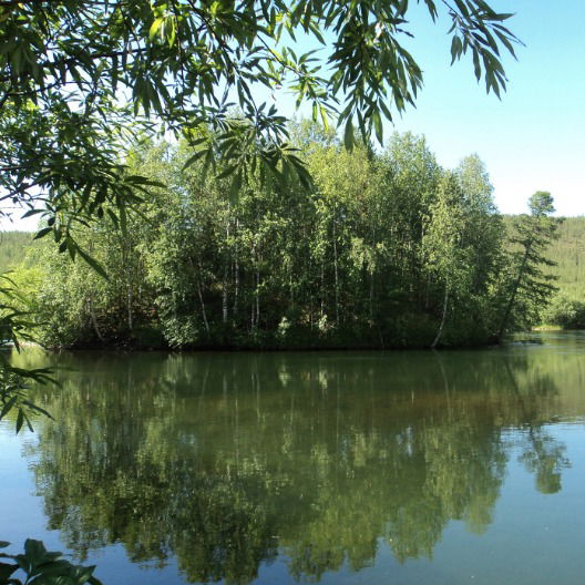 Виталий Ладыгин