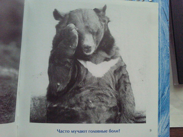 Михаил Коростелев