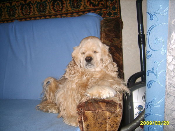 Александр Бел