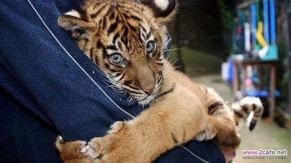 Рита Руденко