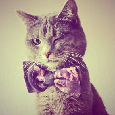 Екатерина Чурина