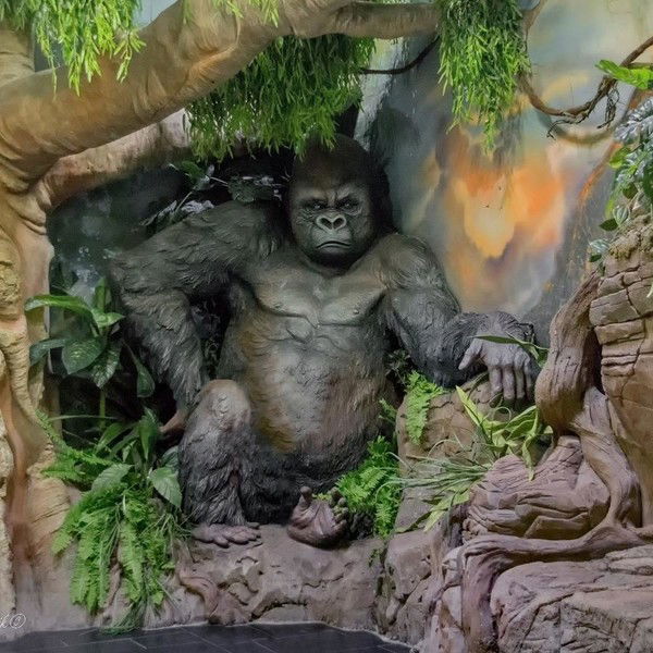 Анатолий Захаров