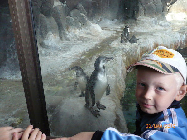 Сергей Безверхний