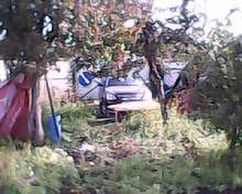 Елена Лапшина