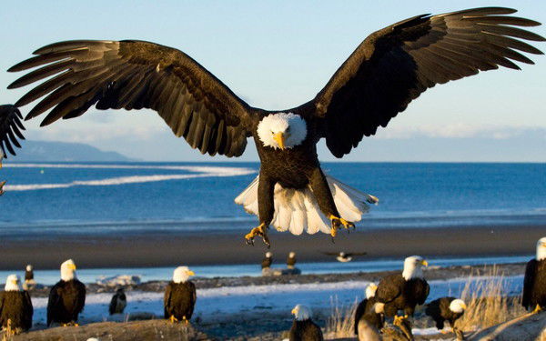 Алексей Власов