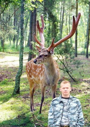 Алексей Безукладочный