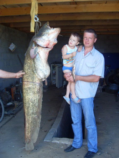 Алексей Гулянов