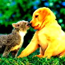 Ильдар Гарипов