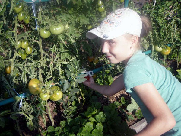 Сергей Бурашников