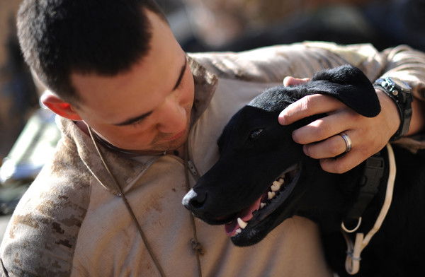 Весёлый Малыш