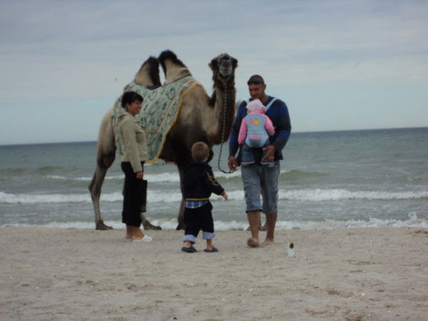 Сергей Гловацкий