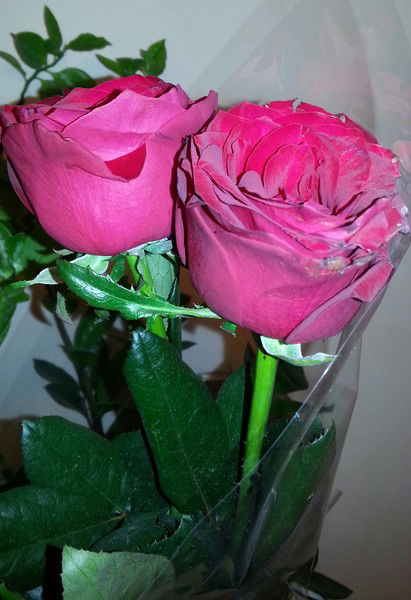 Ильясова Жулдызай