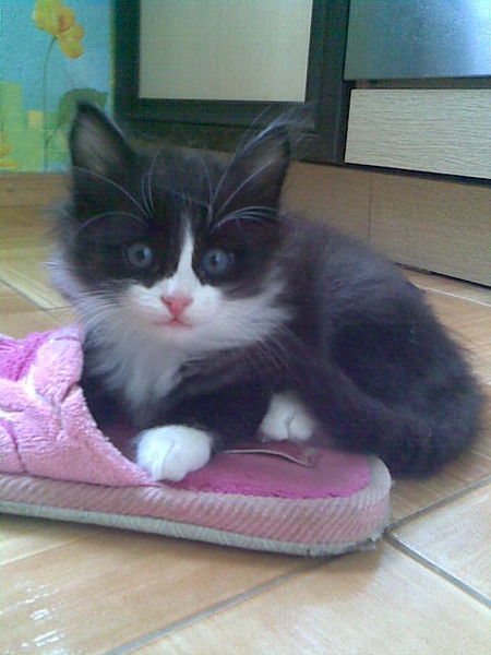 Ирина Юдина