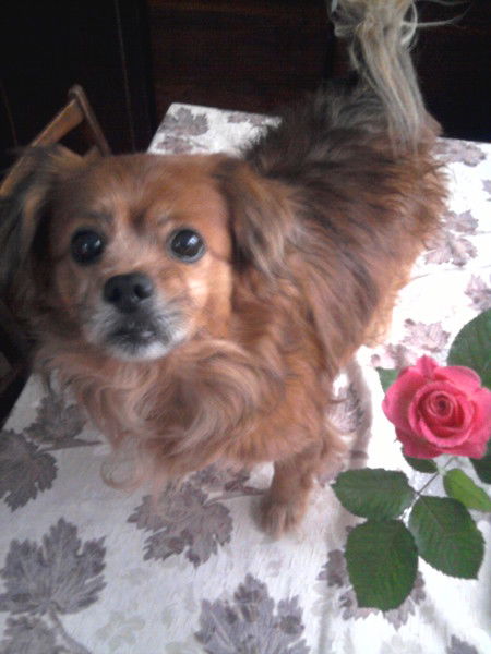 Инна Бобровская