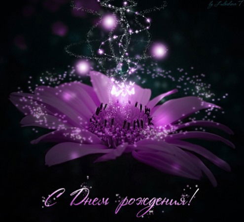 Холод Холод