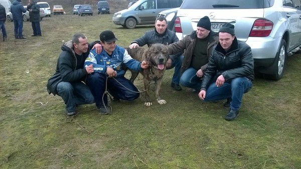 Виталий Балжи