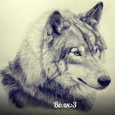 Игорь Кузьмин