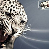 Коля Корнетов