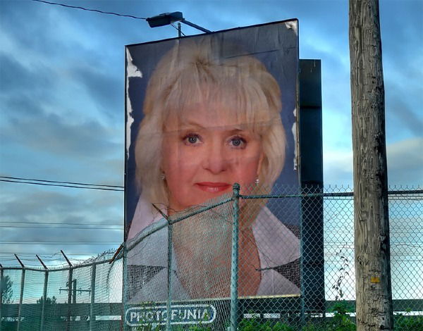 Ольга Богомолова