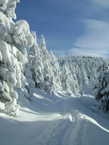 Александр Игай