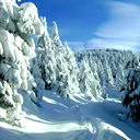 Александр Игай