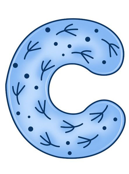 Светлана Логист