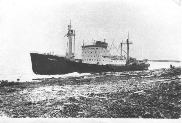 Светлана Михайличенко