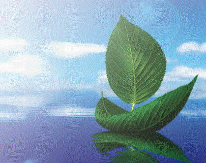 Андрей Киселев