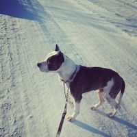 Александр Петрович