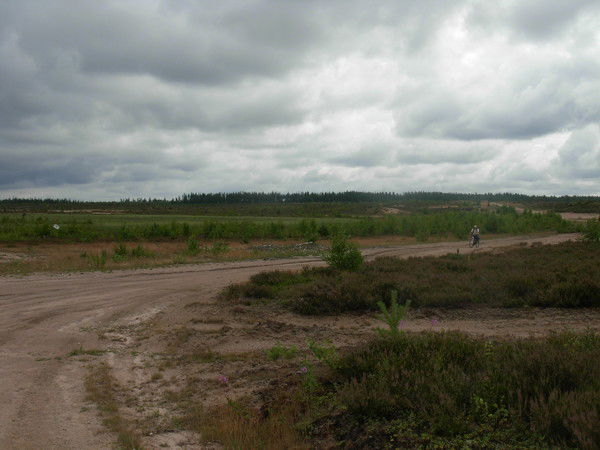 Мирзовали Хакимов