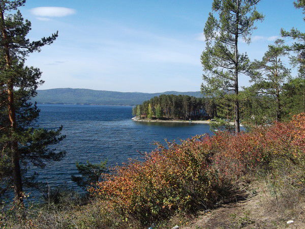 Ирина Власенко