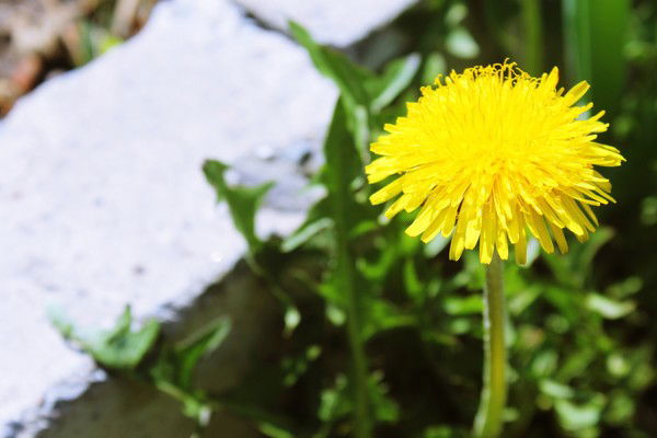 Ольга Иванова