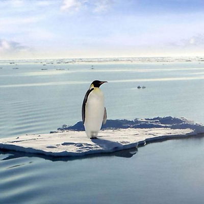 Лёша Чепурдеев