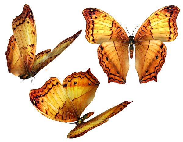 Ирина Зиновьева