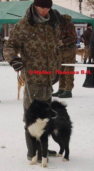 Владимир Павлов