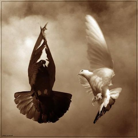 Ольга Бутенко