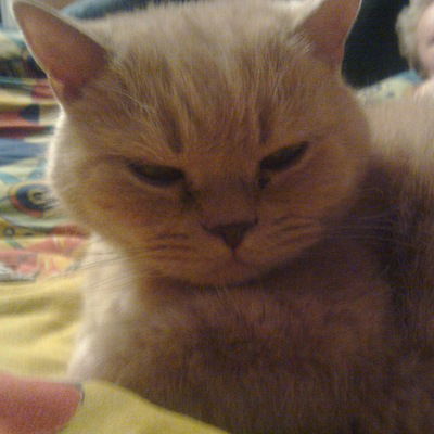 Елена Матюкина