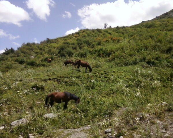 Symbat_82 Жолчиев