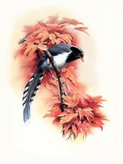 Юлия Баскова