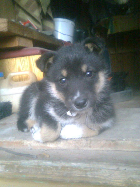 Олег Галактионов